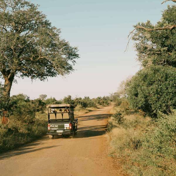 Cropped Image