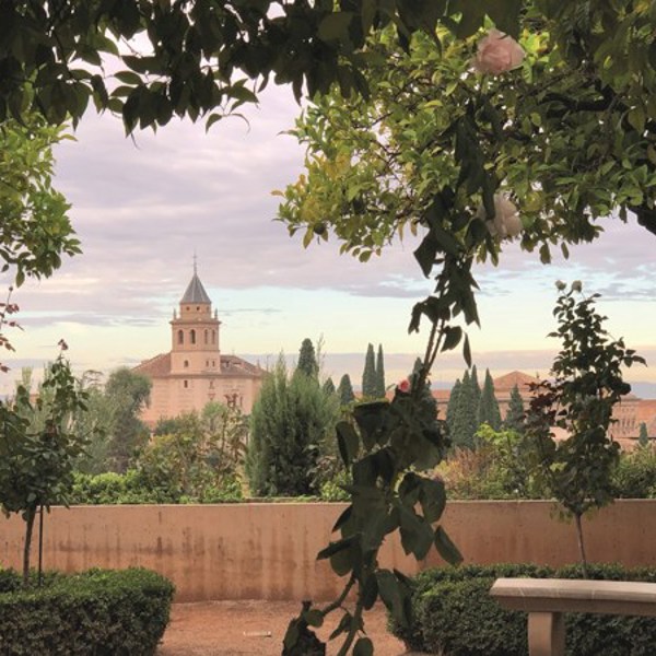 Cropped Image