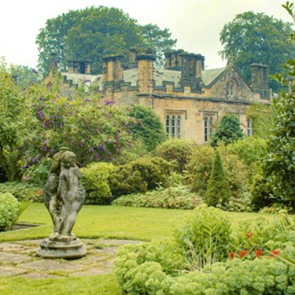 Cropped Image